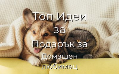 Подарък за Домашен Любимец – Уникални Идеи за Подаръци